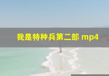 我是特种兵第二部 mp4